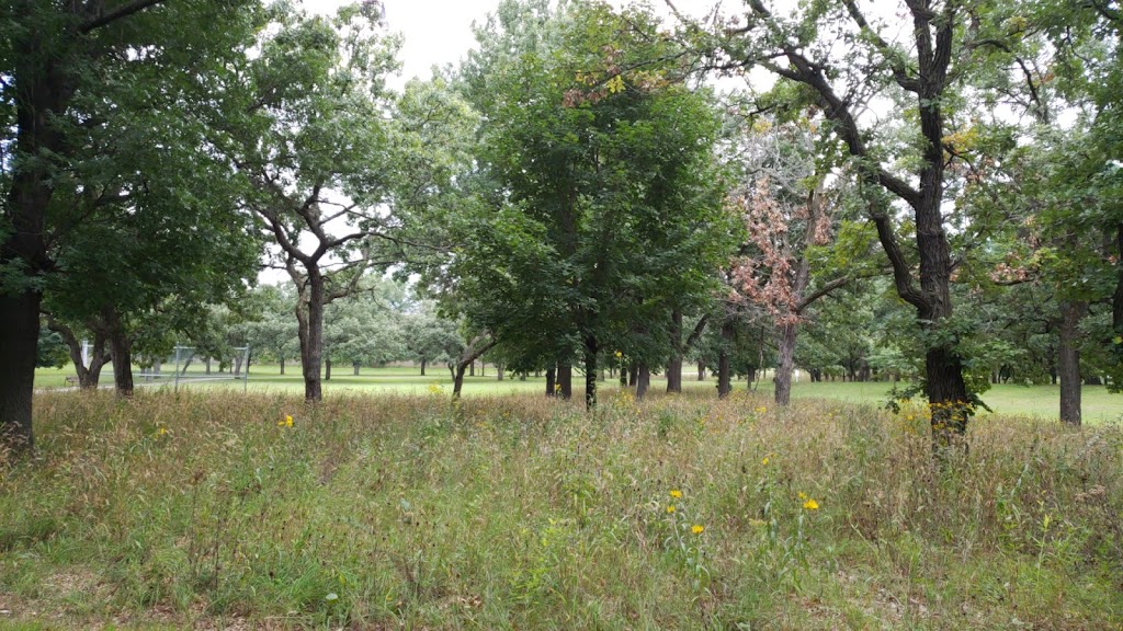 Mason Park | 9600 Holly Cir NW, Coon Rapids, MN 55433, USA | Phone: (763) 755-2880