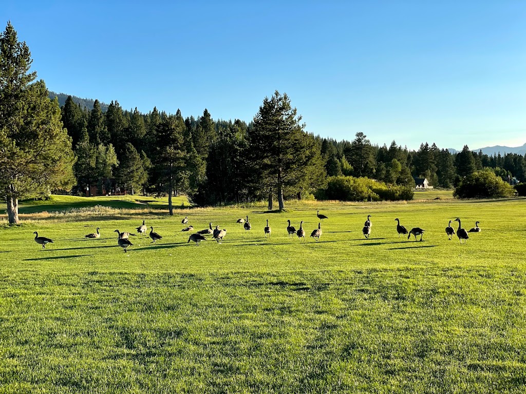 Northstar California Resort Golf Course | 168 Basque Drive, Interstate 80 at Highway 267, Basque Drive at Northstar Drive, Truckee, CA 96161, USA | Phone: (530) 562-3290