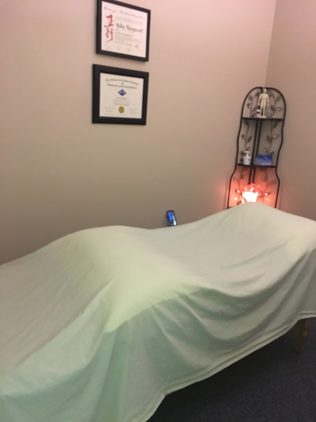 Northside Acupuncture | 13800 GA-9 H, Alpharetta, GA 30004 | Phone: (404) 849-8805