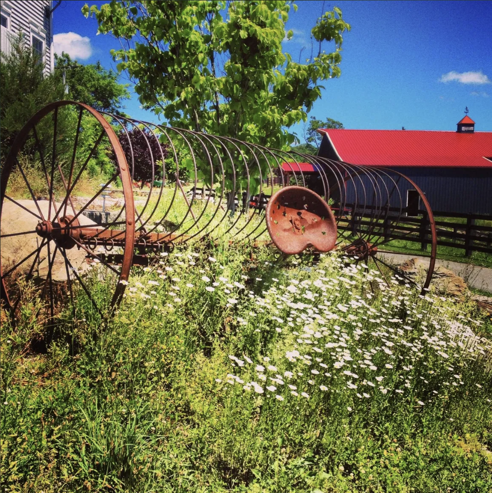 The Marketplace at Wesselhof Farms | 58 Sunset Inn Rd, Lafayette Township, NJ 07848, USA | Phone: (973) 300-0612