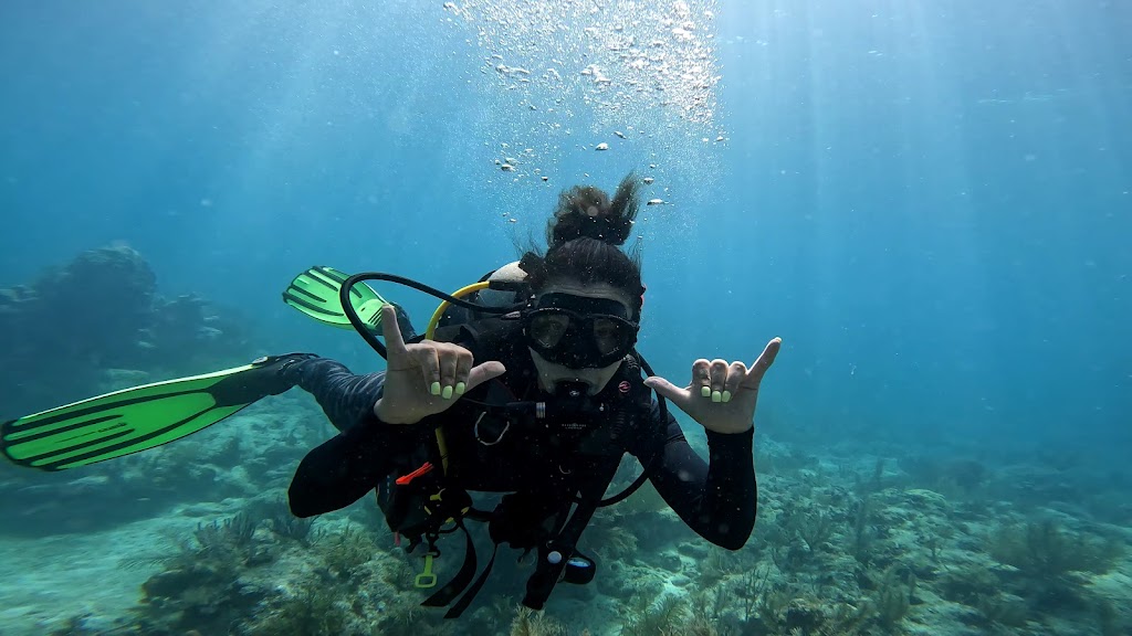 Let It Ride Charters | 104080 Overseas Hwy, Key Largo, FL 33037, USA | Phone: (305) 432-6570