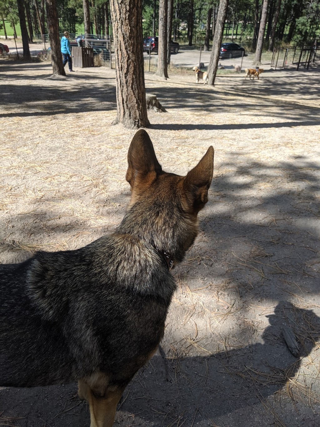 Fox Run Dog Park | Colorado Springs, CO 80921, USA | Phone: (719) 520-7529