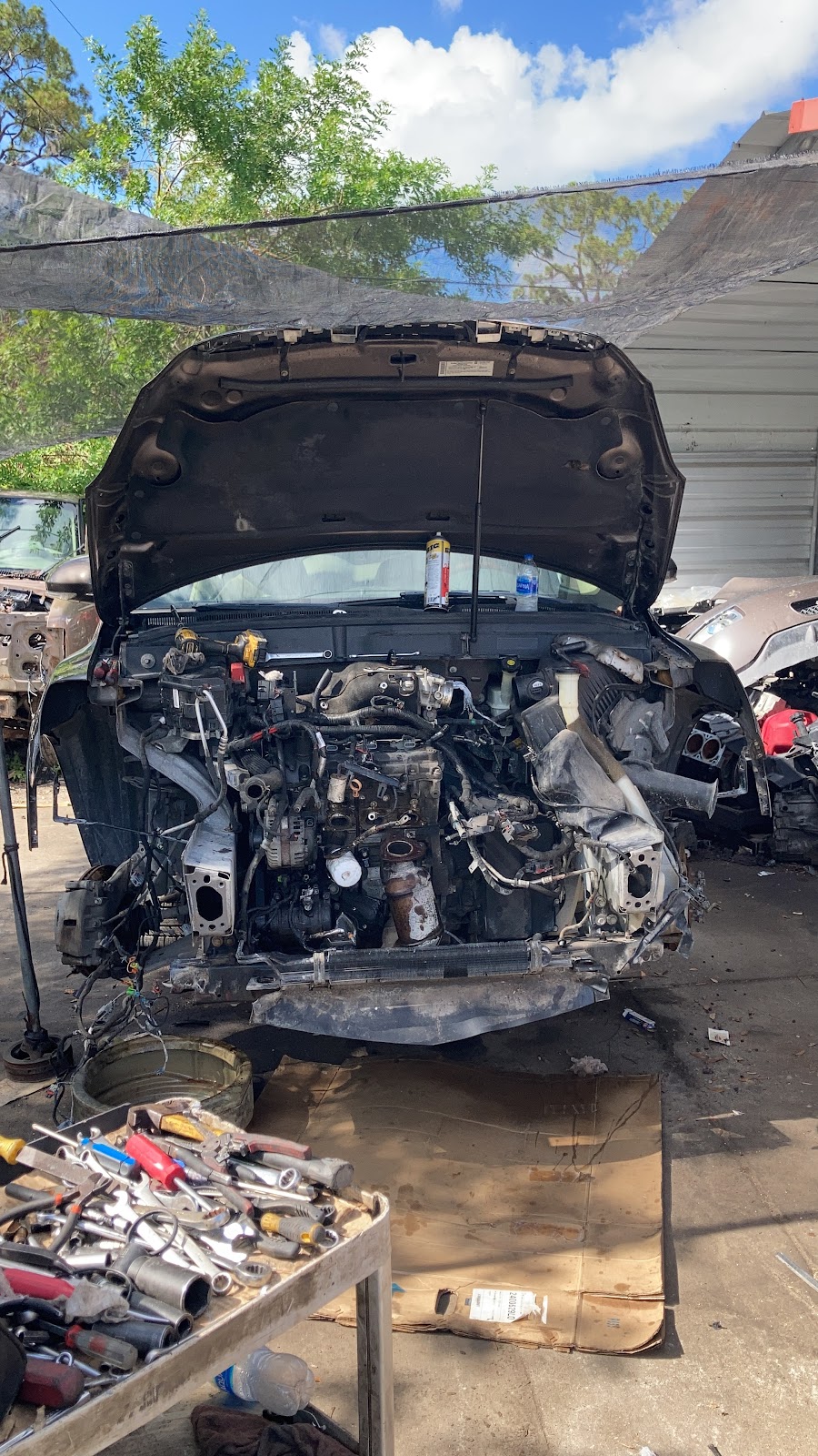 bastidas multi brand technical services llc | 1351 Lancewood Ln apt 101, Immokalee, FL 34142, USA | Phone: (239) 778-3217