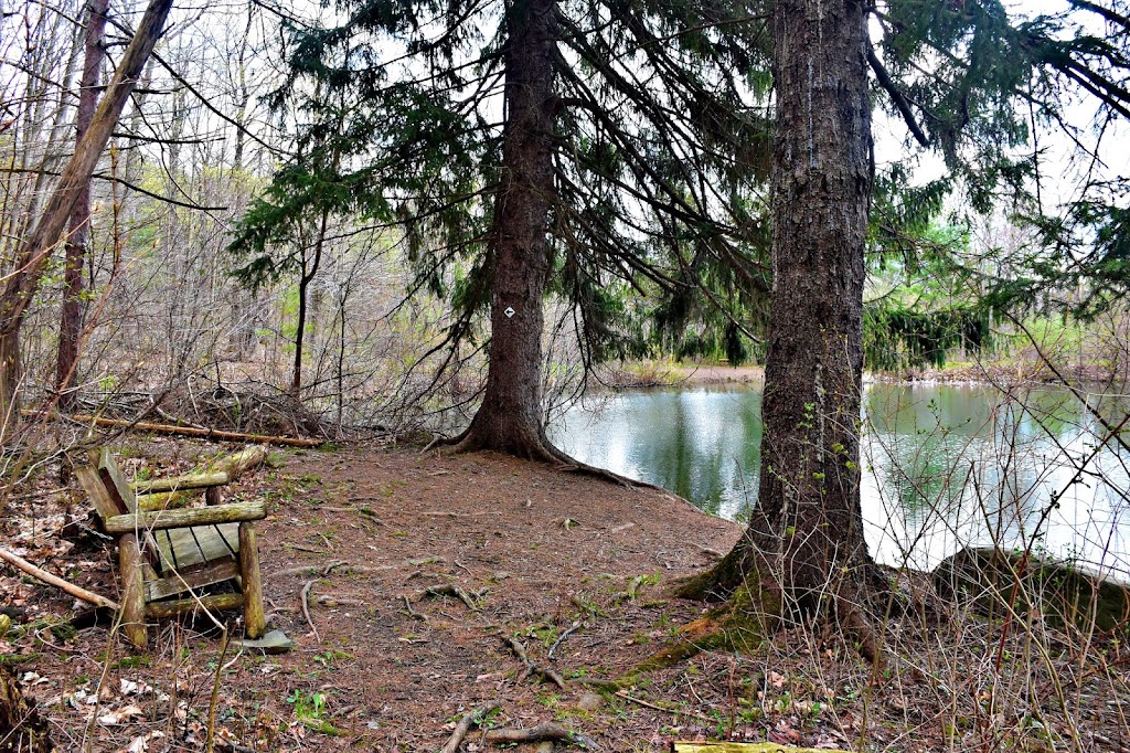 Holt Preserve | Upper Copeland Hill Rd, Selkirk, NY 12158, USA | Phone: (518) 436-6346