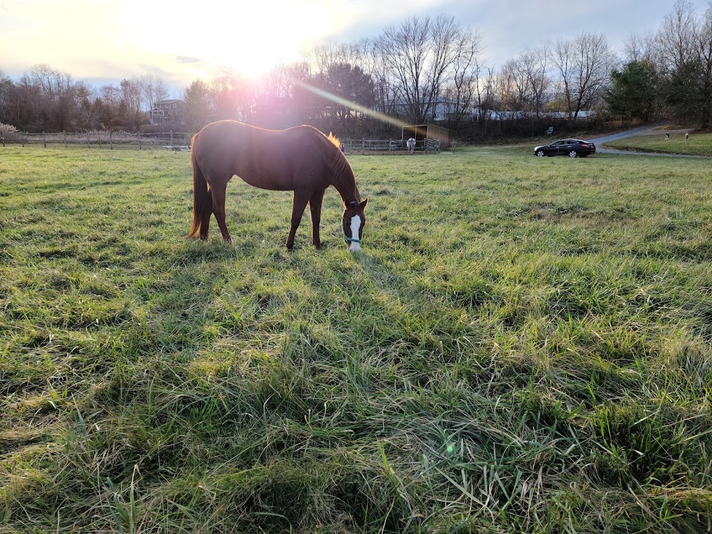 Open Arms Equestrian Center | 75 Eastern Pkwy, Germantown, NY 12526, USA | Phone: (518) 676-2767