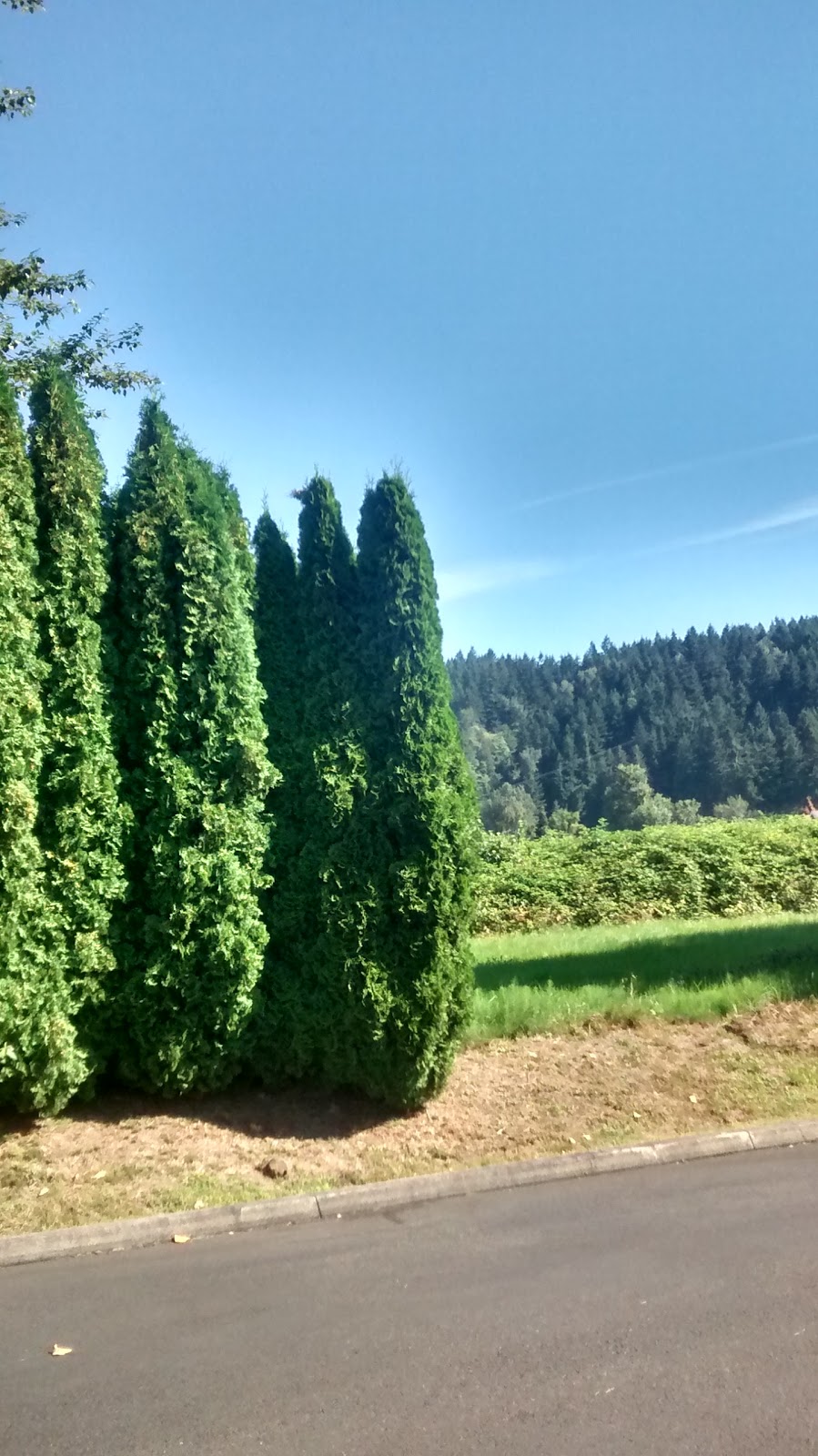 Performance Packaging, Inc. | 7900 Beech Daly Rd #107, Taylor, MI 48180, USA | Phone: (800) 777-9330