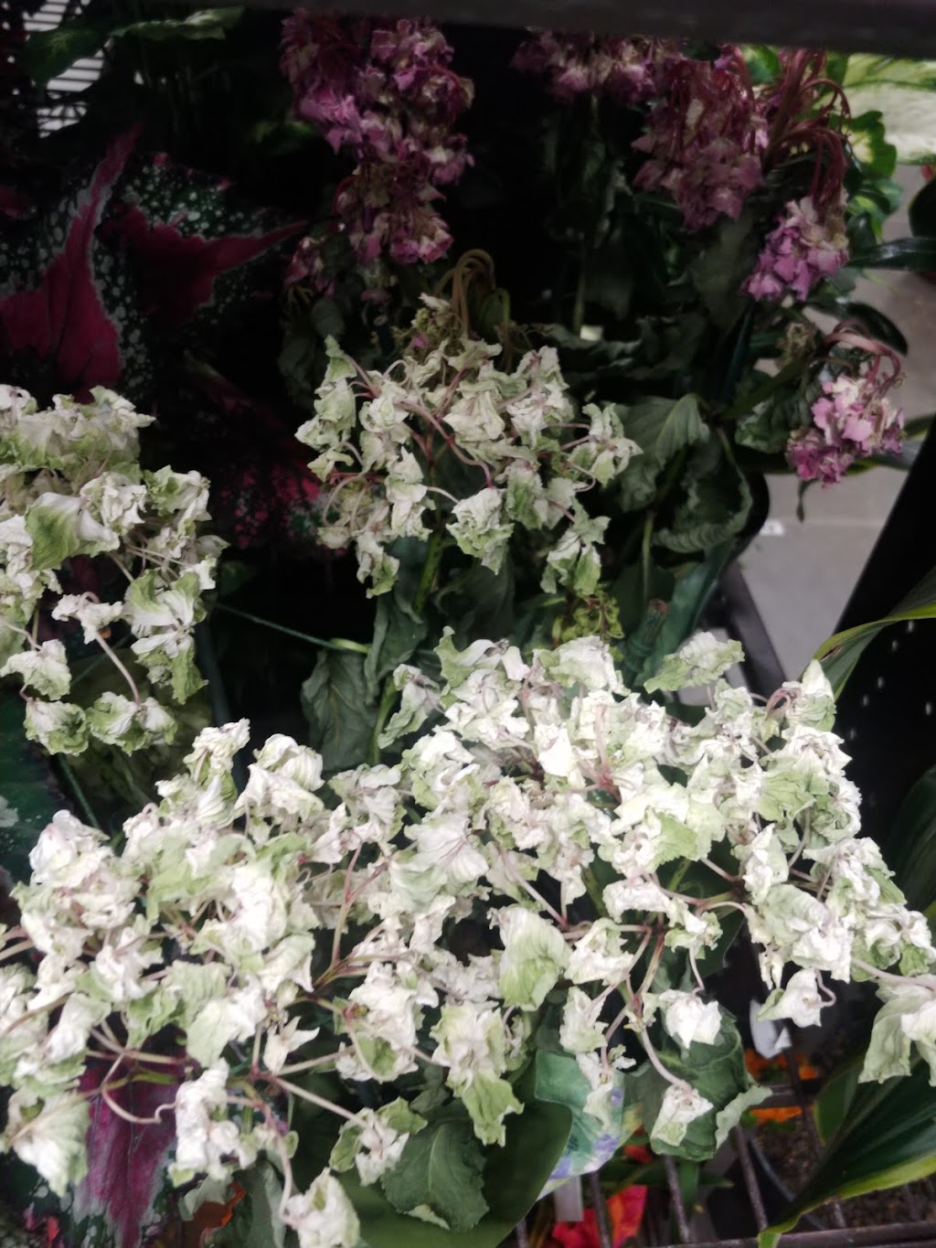 Lowes Garden Center | 1348 N Azusa Ave, Covina, CA 91722, USA | Phone: (626) 756-3000