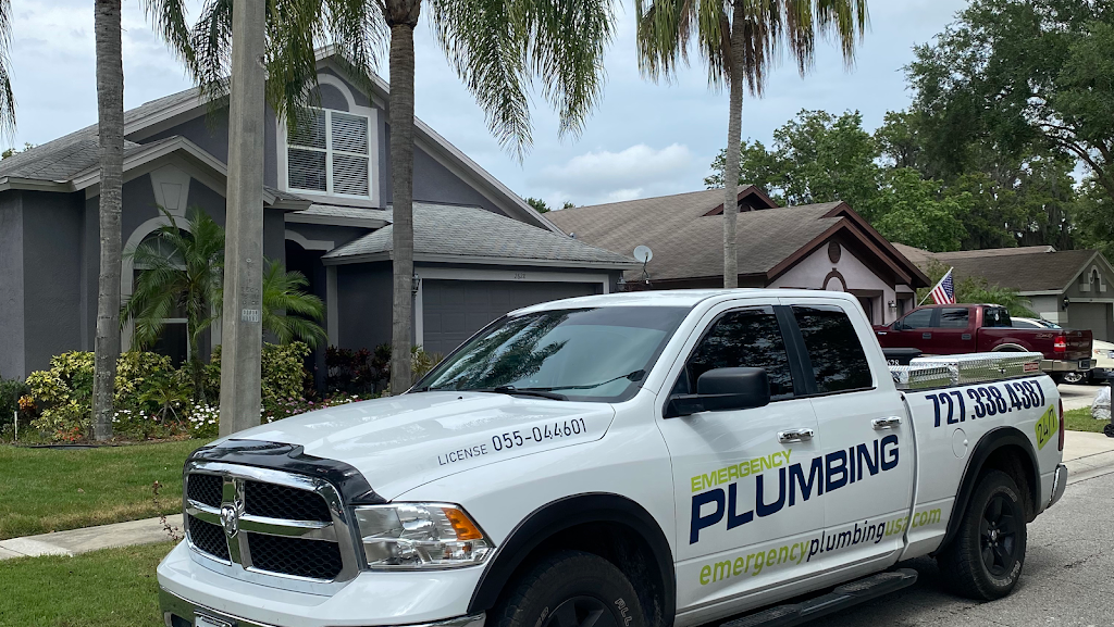 Emergency Plumbing | 11912 Steppingstone Blvd, Tampa, FL 33635, USA | Phone: (727) 338-4387