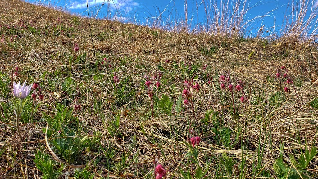 Muralt Bluff Prairie State Natural Area | Monticello, WI 53570 | Phone: (608) 266-0394