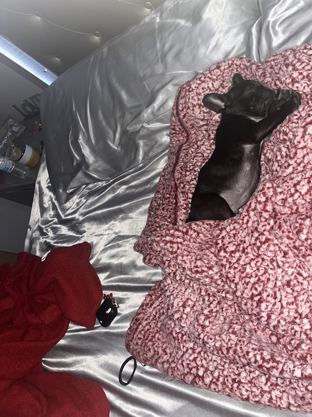 Affordable Veterinary Clinic | 304 E Columbia Ave, Belleville, MI 48111, USA | Phone: (734) 699-3800