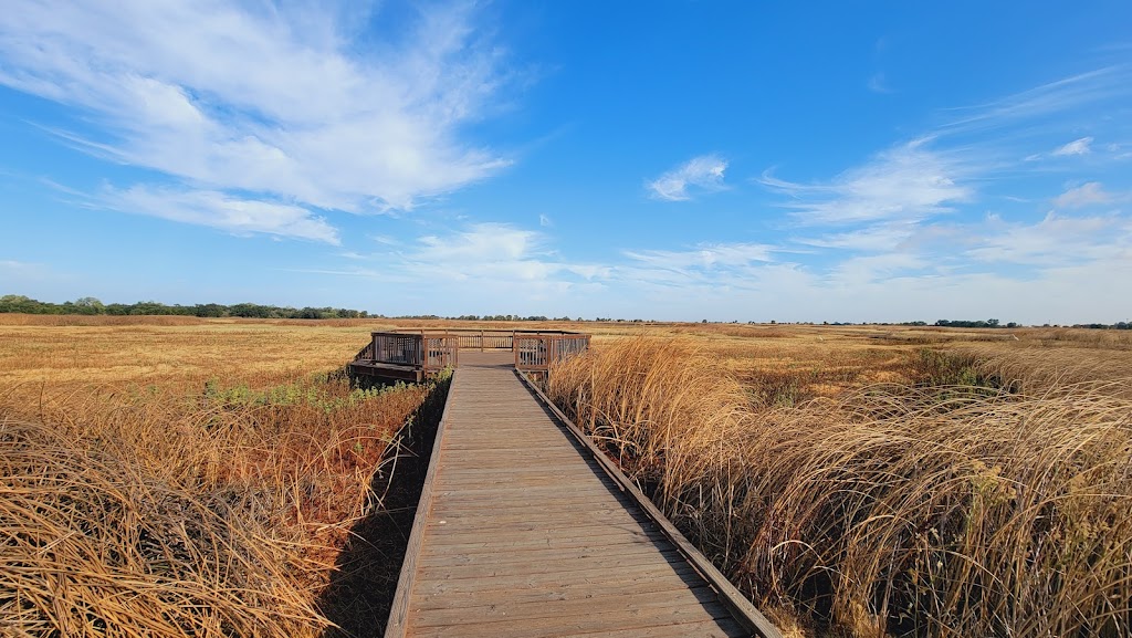 Cosumnes River Preserve | 13501 Franklin Blvd, Galt, CA 95632, USA | Phone: (916) 684-2816