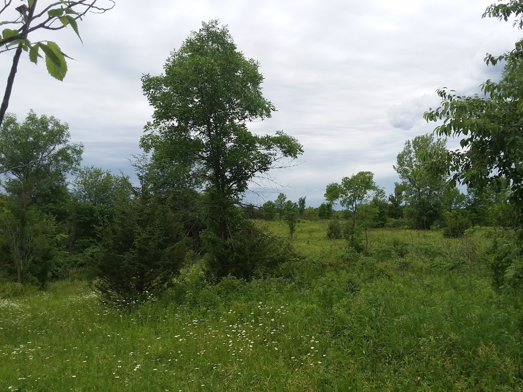 Elm Creek Singletrack Trailhead | 1688 W Hayden Lake Rd, Champlin, MN 55316, USA | Phone: (763) 694-7894