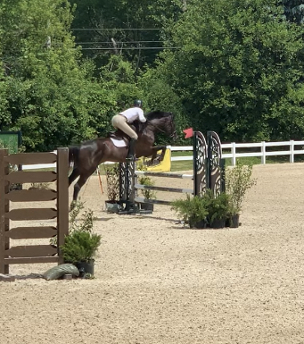 BakerHill Stables | 13750 W Bruns Rd, Manhattan, IL 60442, USA | Phone: (815) 277-9441