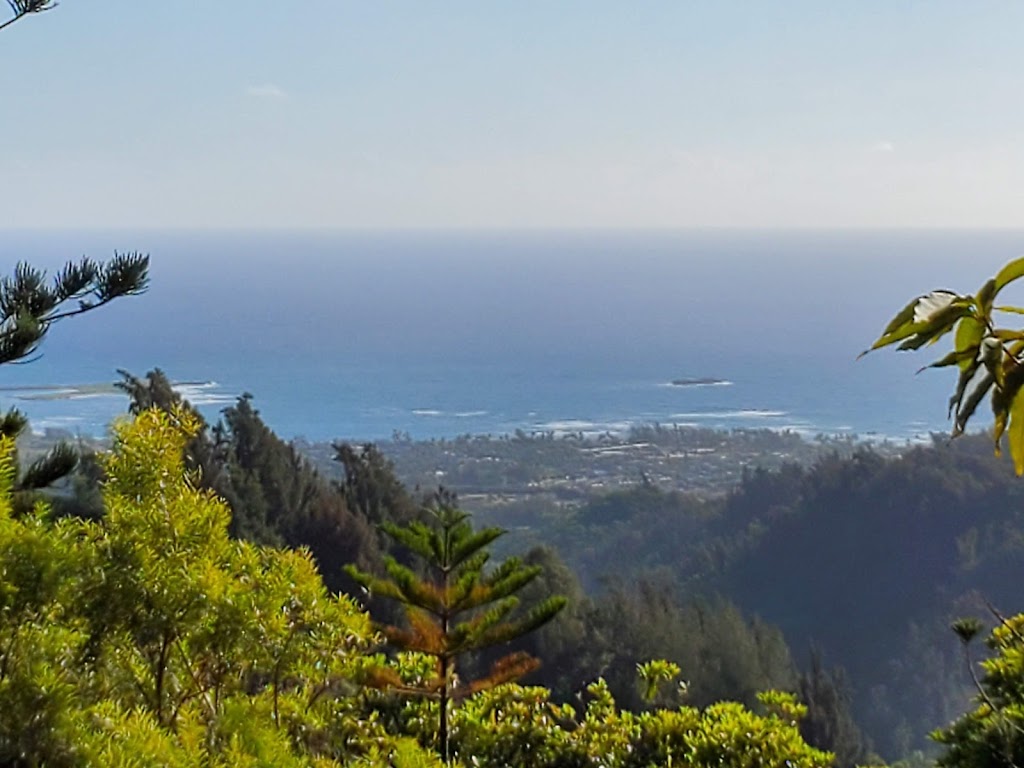 Lāʻie Falls Trail | 55-261 Poohaili St, Laie, HI 96762, USA | Phone: (808) 293-9201