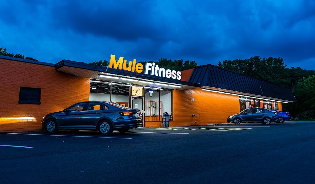 Mule Fitness | 260 Forest Ave, Amsterdam, NY 12010, USA | Phone: (518) 467-6588