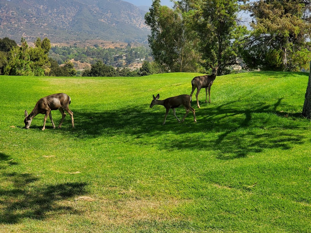 San Dimas Canyon Golf Course | 2100 Terrebonne Ave, San Dimas, CA 91773, USA | Phone: (909) 599-2313