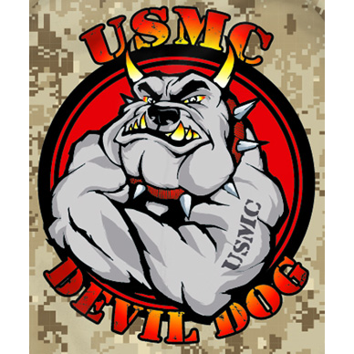 Devil Dog Auto Glass LLC | 3355 S Cortez Rd lot 102, Apache Junction, AZ 85119, USA | Phone: (480) 294-4368