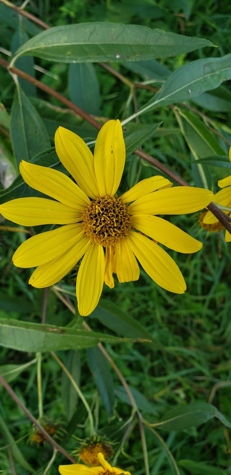 Hook Lake Bog State Natural Area | Oregon, WI 53575, USA | Phone: (888) 936-7463