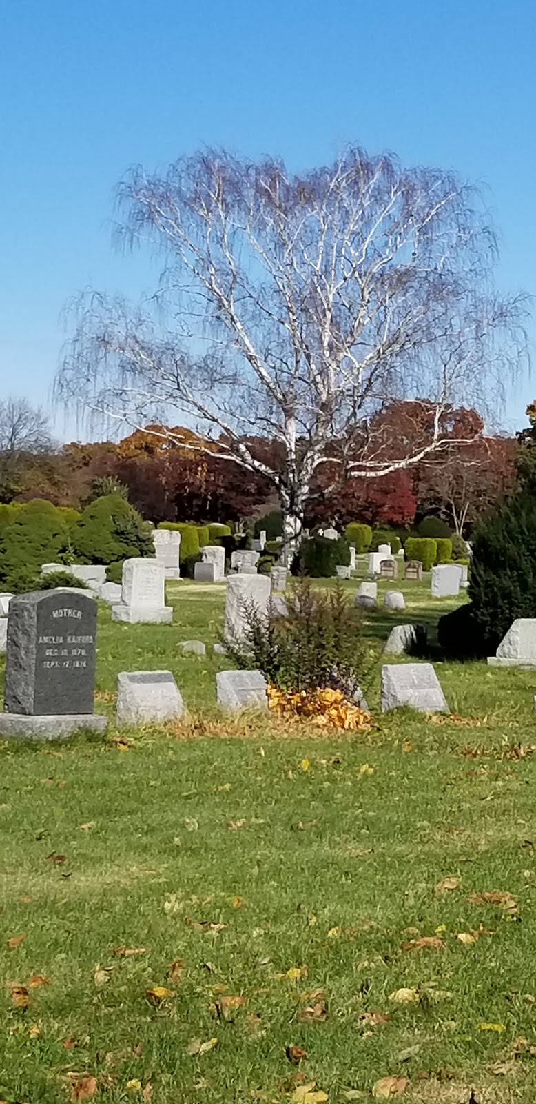 Greenfield Cemetery | 650 Nassau Rd, Uniondale, NY 11553, USA | Phone: (516) 483-6500