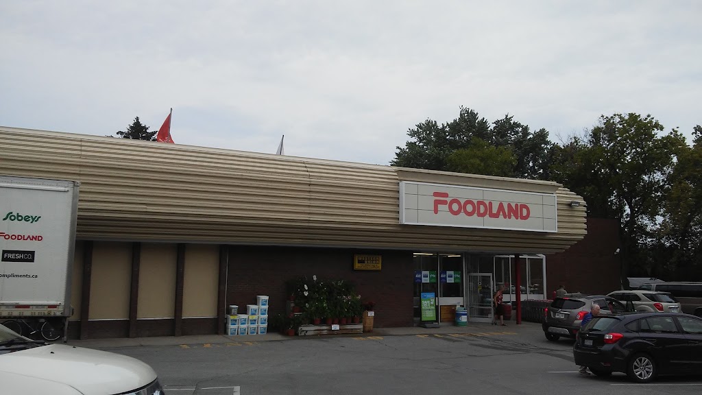 Foodland - Vineland | 3357 King St, Vineland, ON L0R 2C0, Canada | Phone: (905) 562-5881