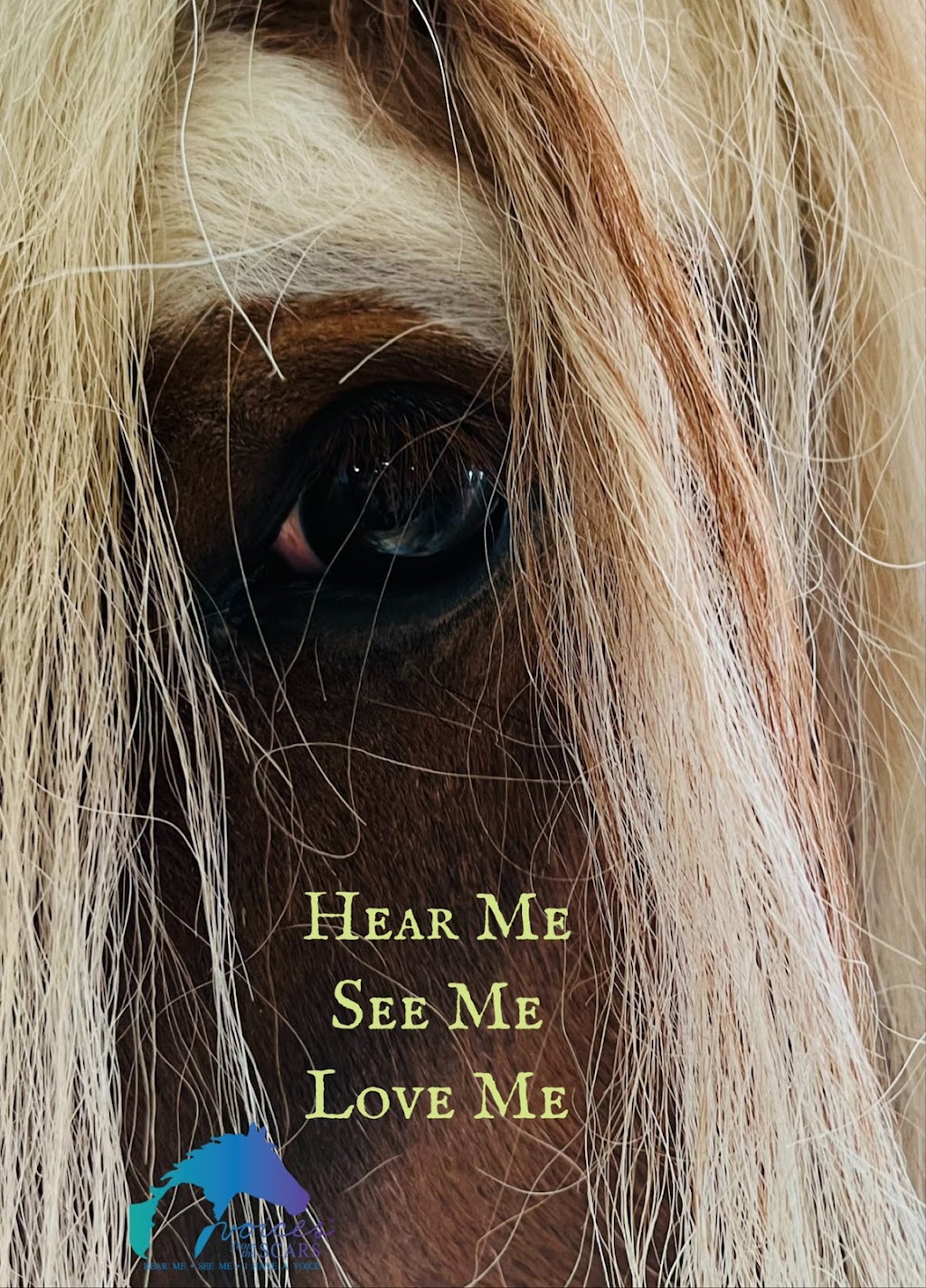 Voices from the Scars | 549 Deer Track Dr, Canton, GA 30114, USA | Phone: (404) 245-7367