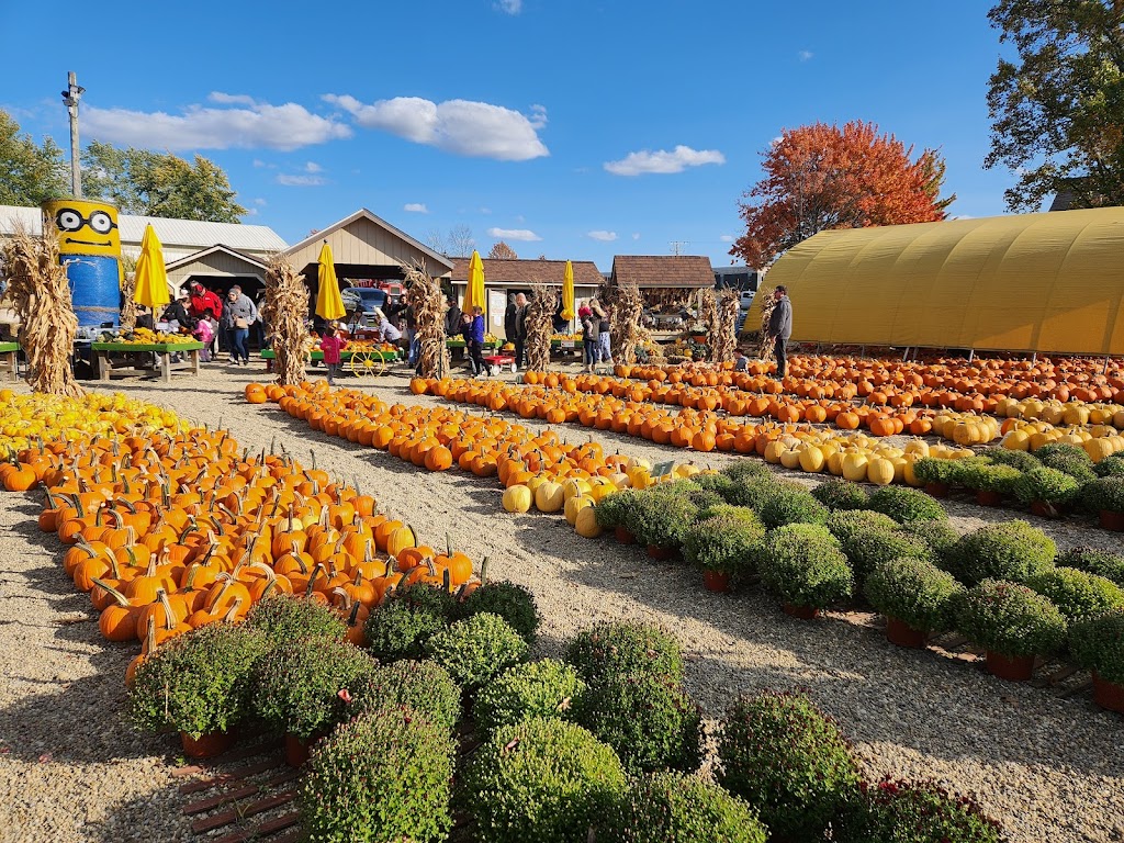 Mulberry Corners Pumpkins | 11591 Chillicothe Rd, Chesterland, OH 44026, USA | Phone: (440) 478-3427