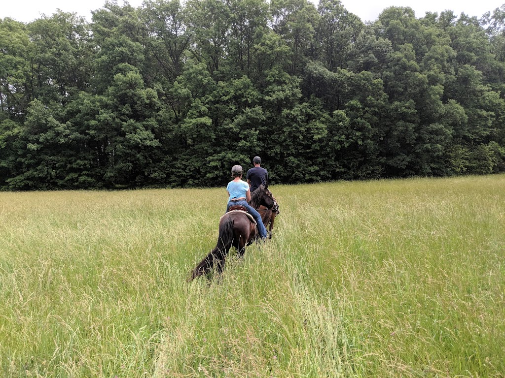 Equine Differences | 11911 Leavitt Rd, Oberlin, OH 44074, USA | Phone: (440) 822-4685