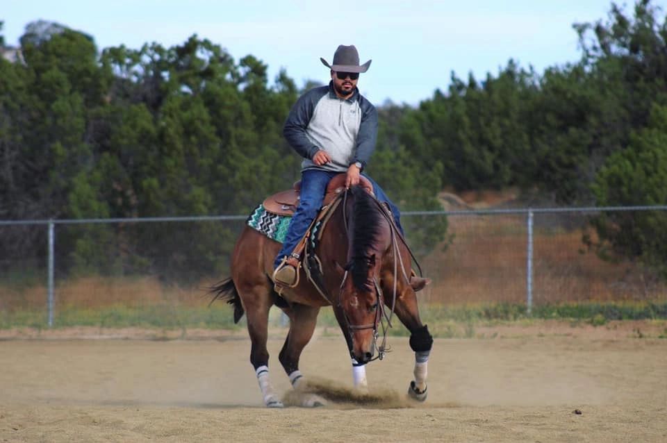 LT Quarter Horses | 21650 Juniper Rd, Perris, CA 92570, USA | Phone: (323) 770-1428