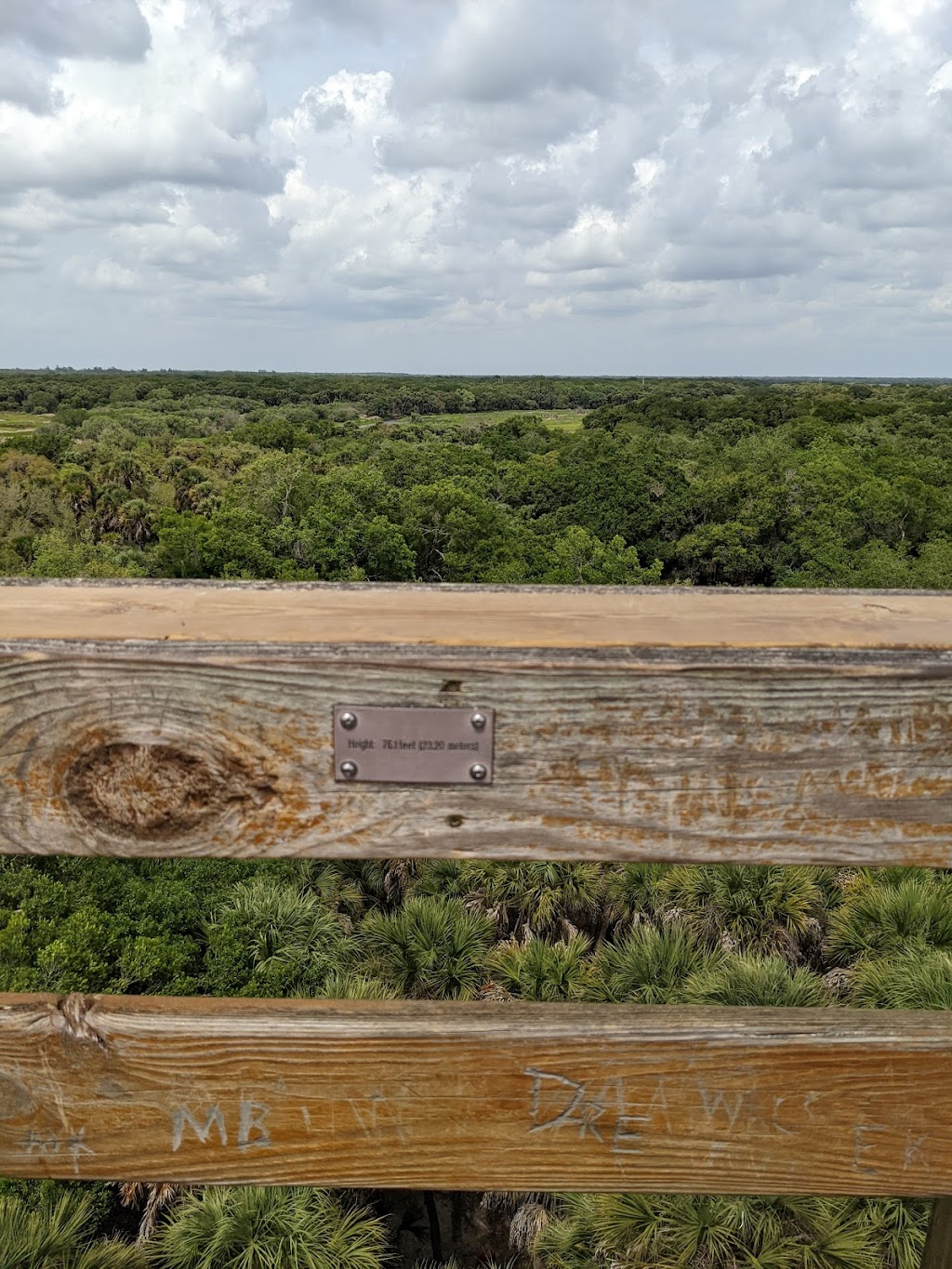 Myakka Canopy Walkway and Observation Tower | Sarasota, FL 34241, USA | Phone: (941) 361-6511