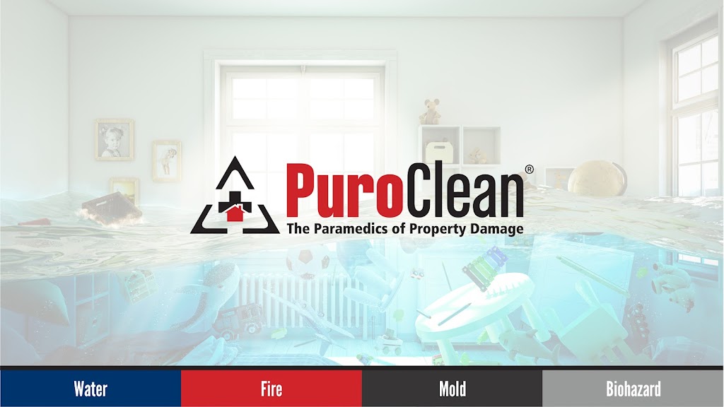 PuroClean Emergency Restoration Specialists | 216-F Log Canoe Cir, Stevensville, MD 21666, USA | Phone: (410) 919-4275