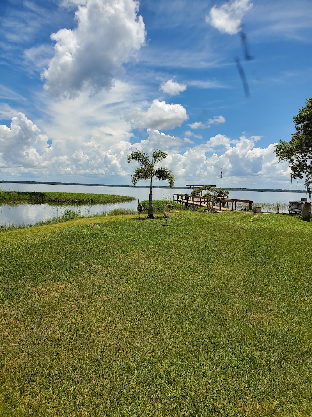 Butchs Hideaway RV Park | 2651 Mar Lisa Cove Rd, Lake Wales, FL 33898, USA | Phone: (863) 528-3321