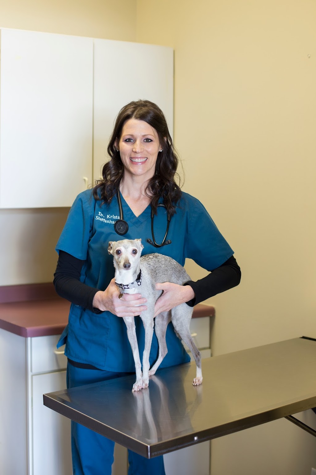 Blaine Family Veterinary Hospital | 10617 University Ave NE, Blaine, MN 55434, USA | Phone: (763) 754-2381