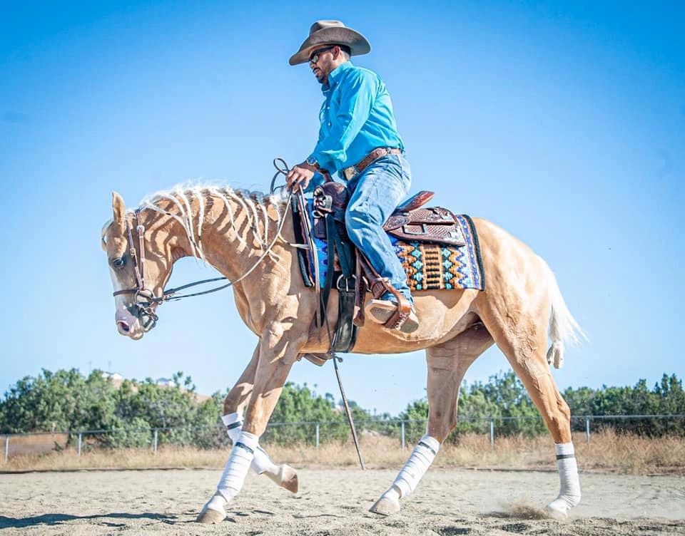 LT Quarter Horses | 21650 Juniper Rd, Perris, CA 92570, USA | Phone: (323) 770-1428