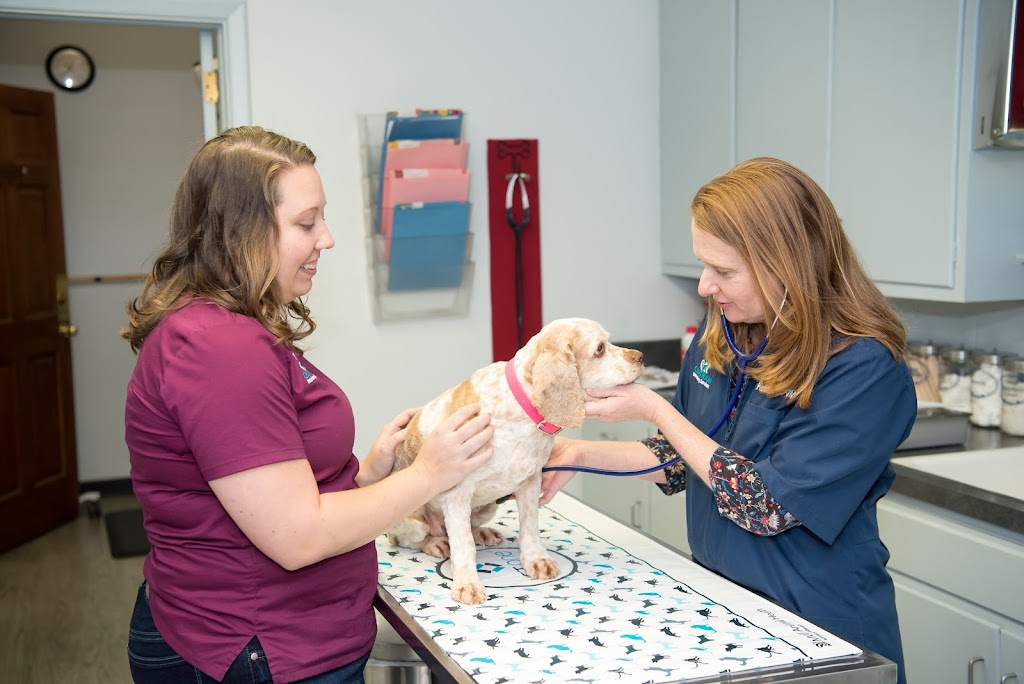 Chatham Veterinary Service | 1114 Greensboro Ave, Siler City, NC 27344, USA | Phone: (919) 742-4441