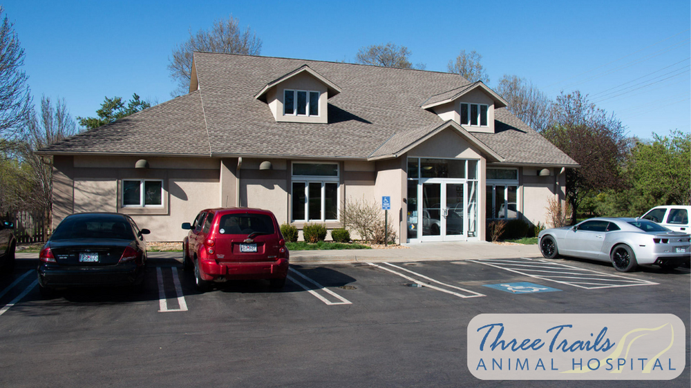 Three Trails Animal Hospital | 600 West 23rd St S, Independence, MO 64055, USA | Phone: (816) 252-5105