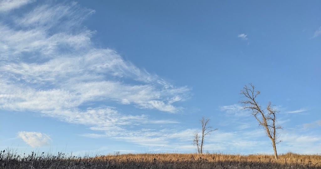 Belwin Conservancy: Stagecoach Prairie | 825 Stagecoach Trail S, Afton, MN 55001, USA | Phone: (651) 436-5189