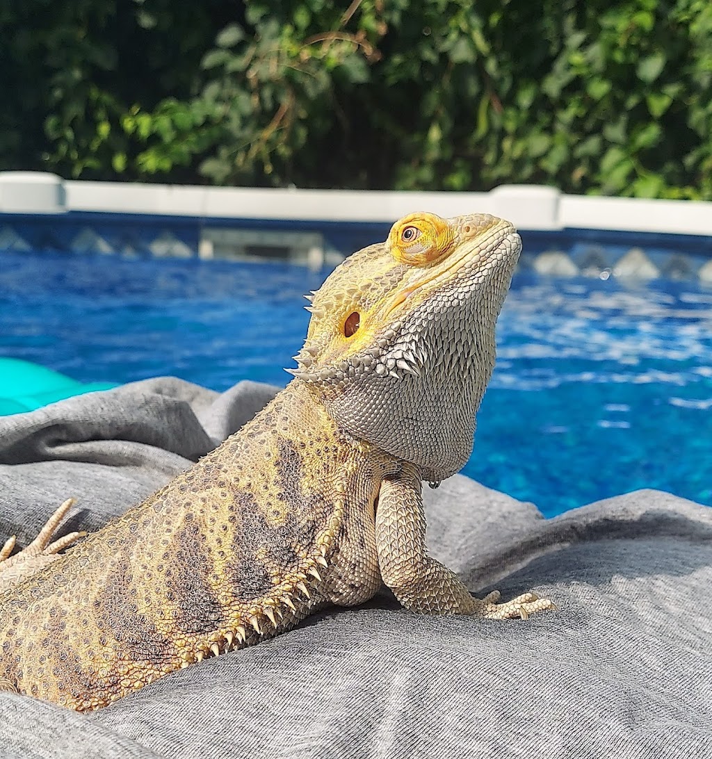 Sunshine State Worms | 11411 Citrus Way #2, Brooksville, FL 34601, USA | Phone: (727) 207-6753