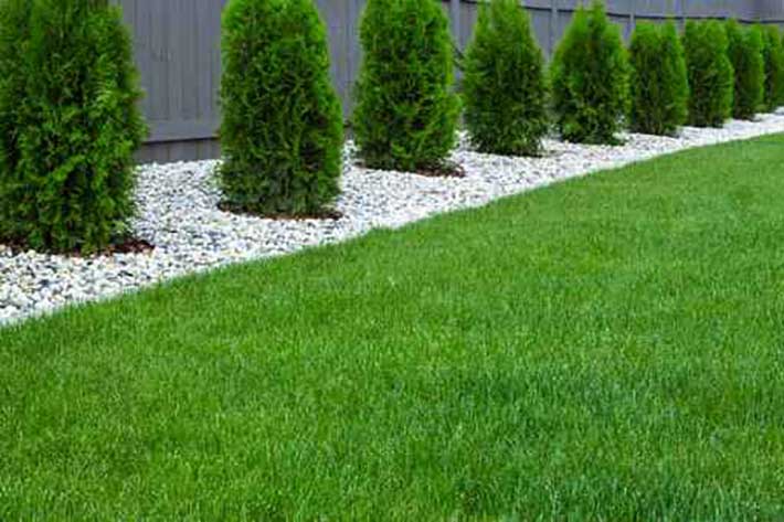 Cruz Lawncare Y Landscamping | 712 Wilmer Ave, Richmond, VA 23227 | Phone: (804) 300-6820