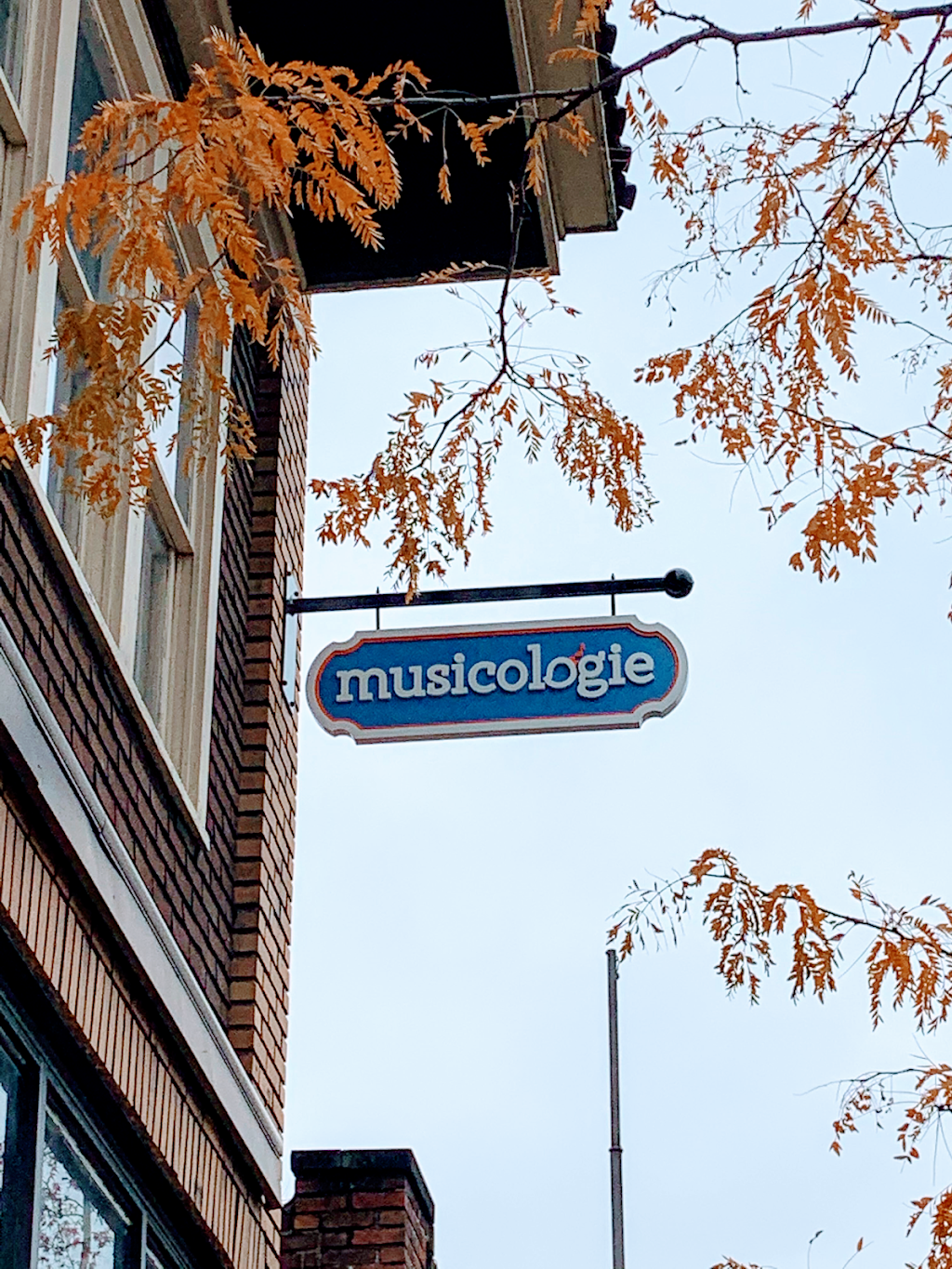 Musicologie Cleveland Heights | 3473 Fairmount Blvd, Cleveland, OH 44118, USA | Phone: (216) 260-6006