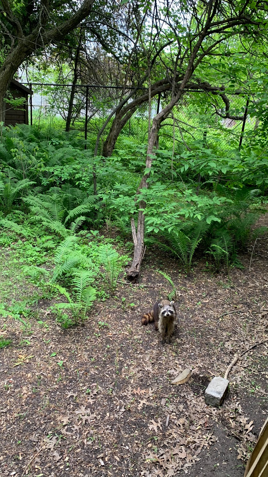 Ojibway Prairie Provincial Nature Reserve | 5200 Matchette Rd, Windsor, ON N9C 4E8, Canada | Phone: (519) 966-5852