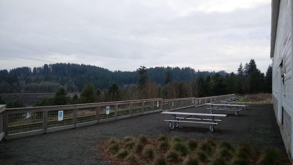 Killin Wetlands Nature Park | 46280 NW Cedar Canyon Rd, Banks, OR 97106 | Phone: (503) 797-1545