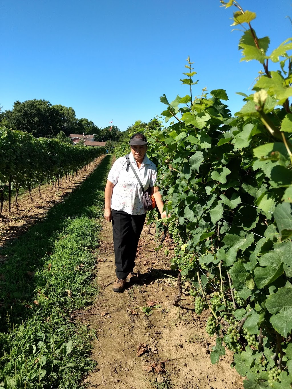 Profound Fitness | 4858 Durham Rd N, Beamsville, ON L0R 1B3, Canada | Phone: (905) 309-6357