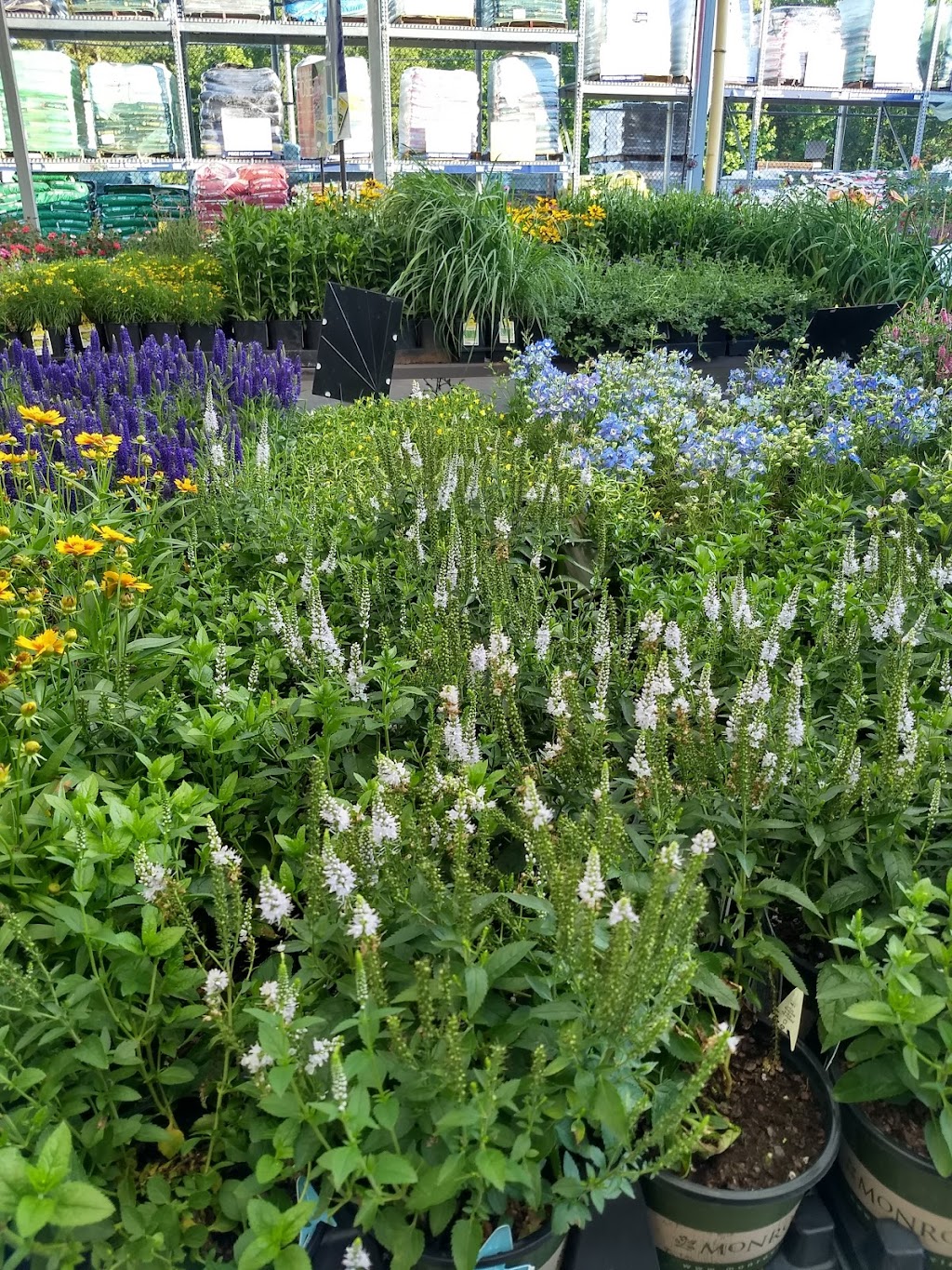 Lowes Garden Center | 2040 Durham Rd, Roxboro, NC 27573, USA | Phone: (336) 330-2100