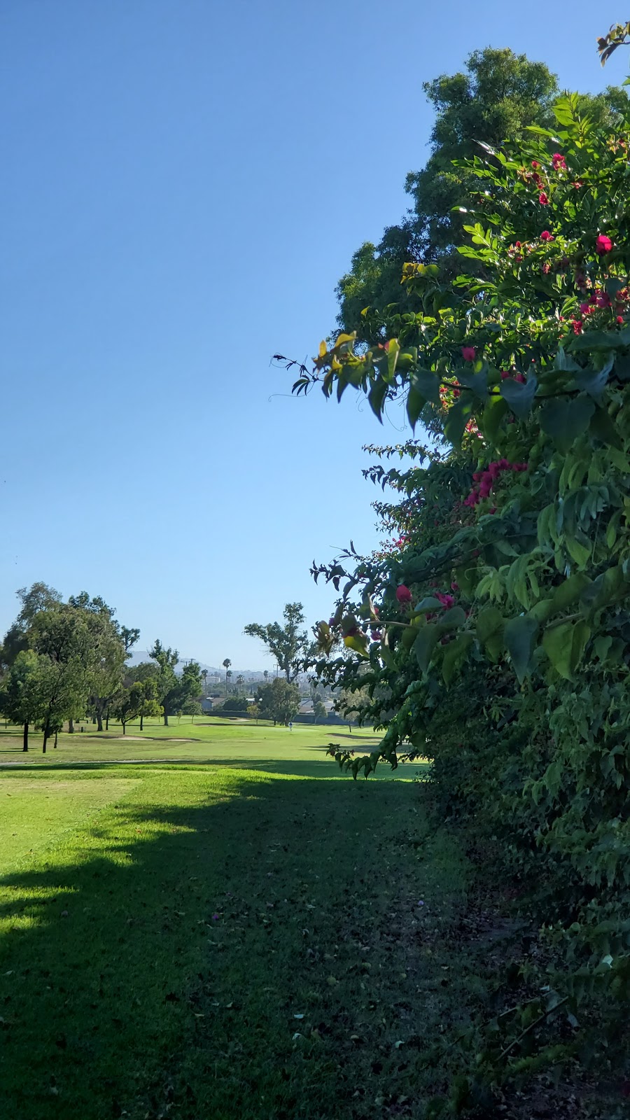 Chester Washington Golf Course | 1818 Charlie Sifford Dr, Los Angeles, CA 90047 | Phone: (323) 756-2516