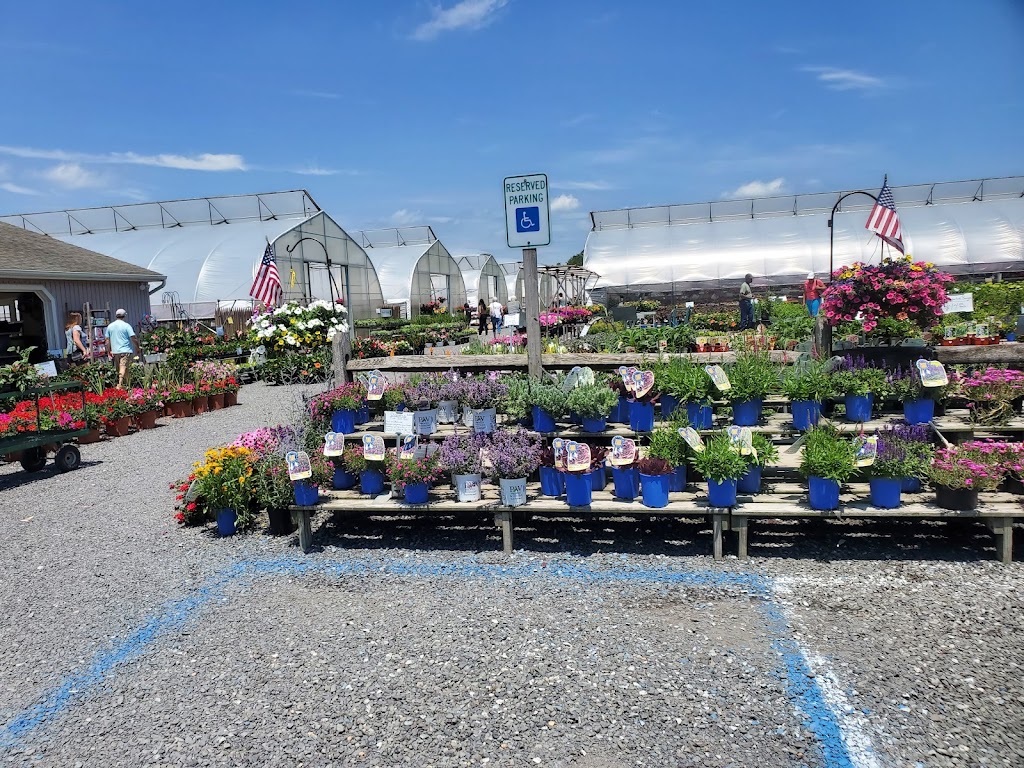 C&M Greenhouses | 470 Union Rd, Vineland, NJ 08360, USA | Phone: (856) 691-7881