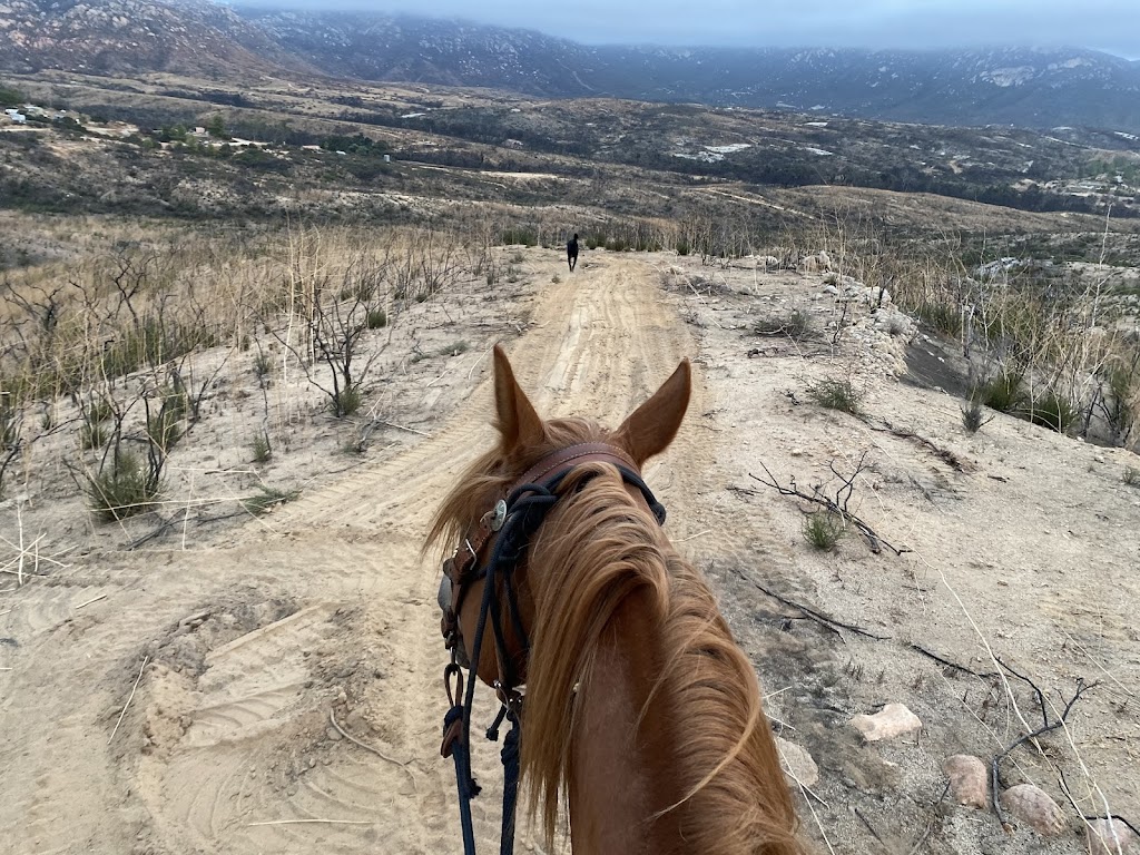 Fun horse trail rides/lesson | 18540 W Boundary Truck Trail, Jamul, CA 91935 | Phone: (619) 493-8949