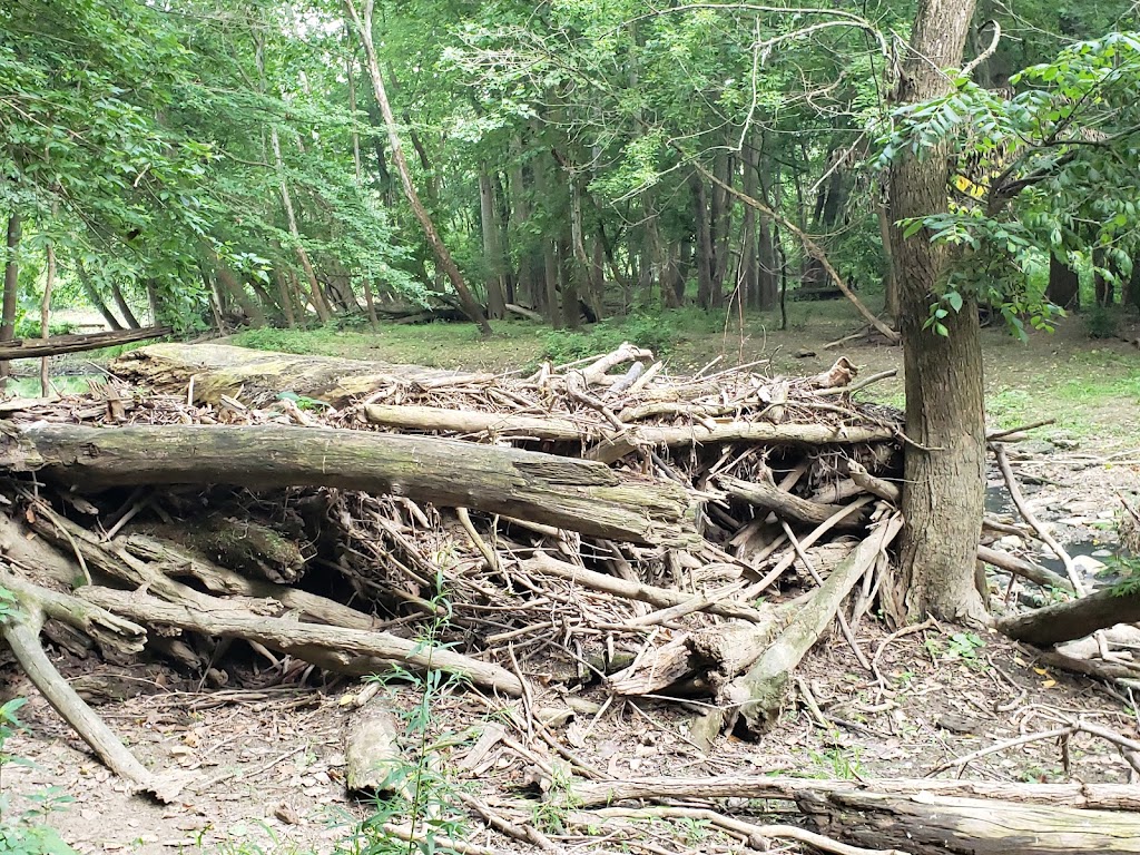 Don Miller Memorial Park (Formerly River Cliff Park) | 1329 Tiffin St, Fremont, OH 43420, USA | Phone: (419) 334-4495