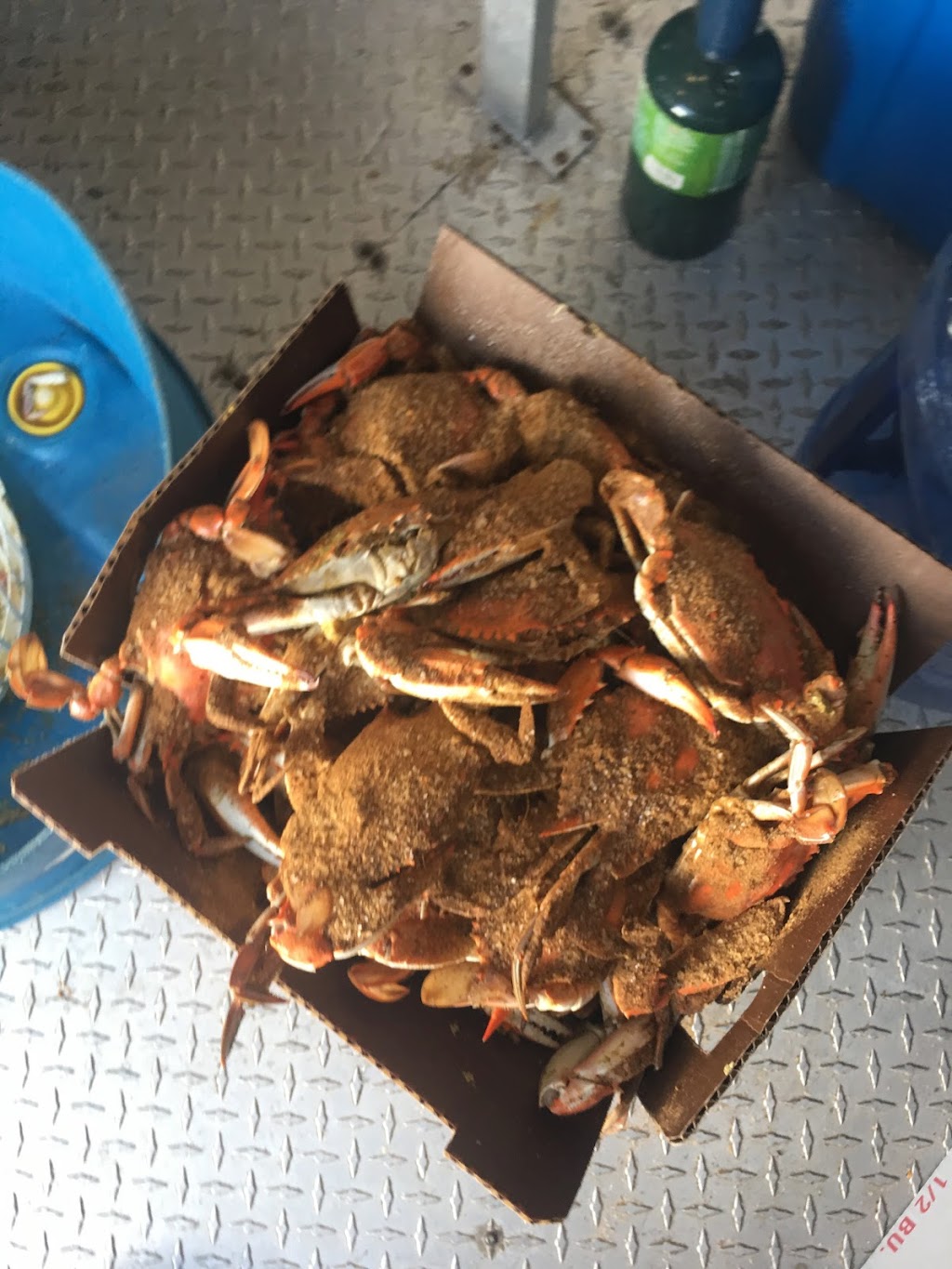 Cox Creek Crab & Seafood Company | 3076 Solomons Island Rd, Edgewater, MD 21037, USA | Phone: (443) 288-3040