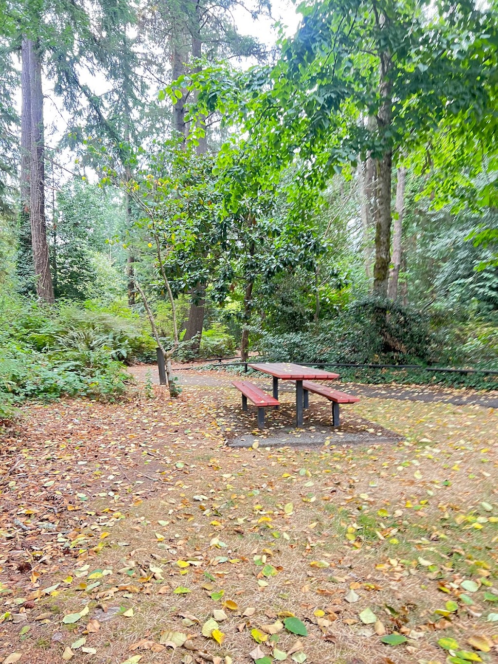 Sierra Park | 19020 80th Ave W, Edmonds, WA 98026, USA | Phone: (425) 771-0230