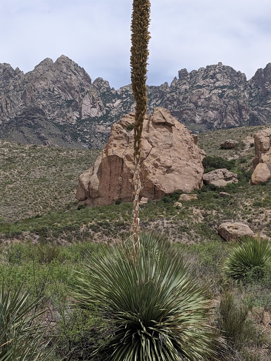 Organ Mountains-Desert Peaks National Monument | Las Cruces, NM 88011, USA | Phone: (575) 525-4300